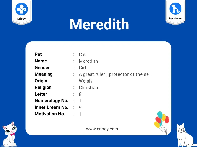 Meredith Name Meaning