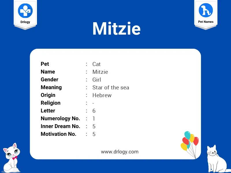 Mitzie Name Meaning
