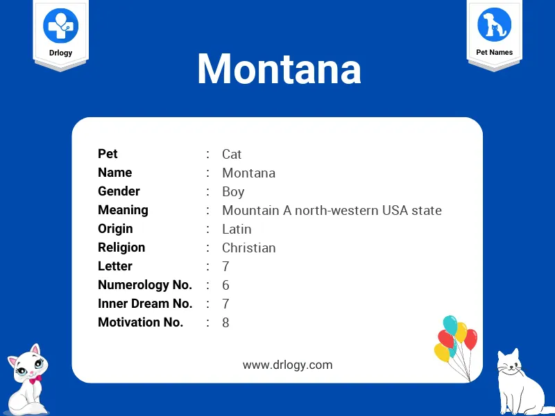 Montana Name Meaning