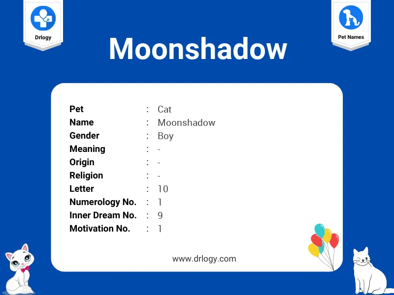 Moonshadow Name Meaning