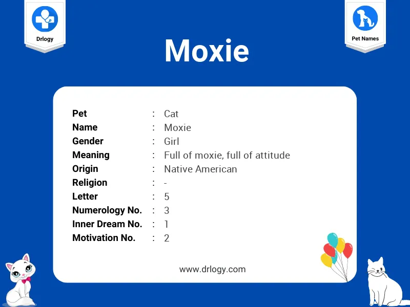 Moxie Name Meaning