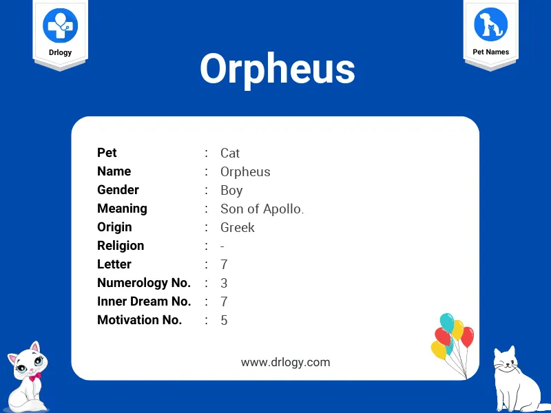 Orpheus Name Meaning