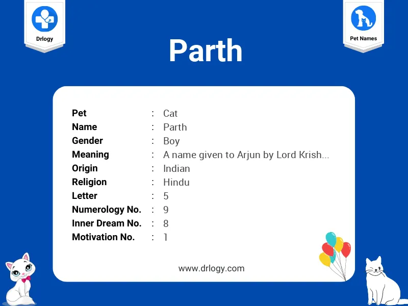 Parth Name Meaning
