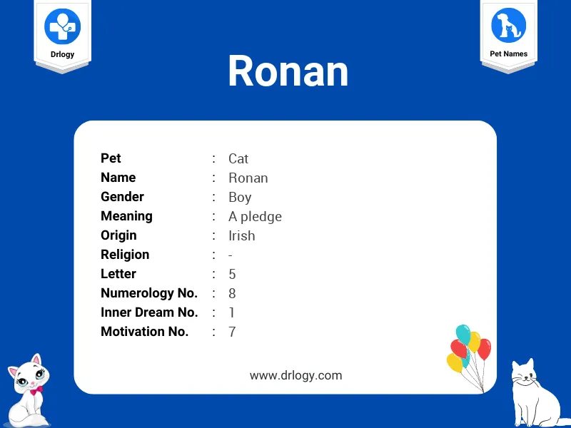 Ronan Name Meaning