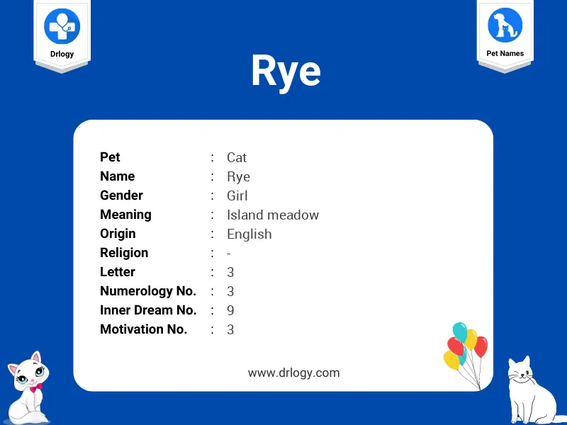 Rye Name Meaning