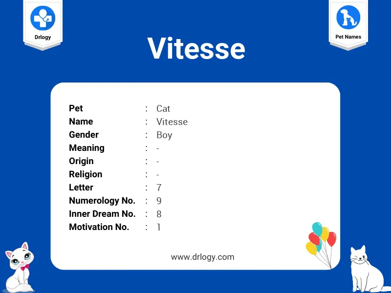 Vitesse Name Meaning
