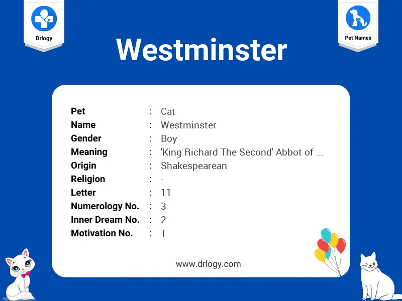 Westminster Name Meaning