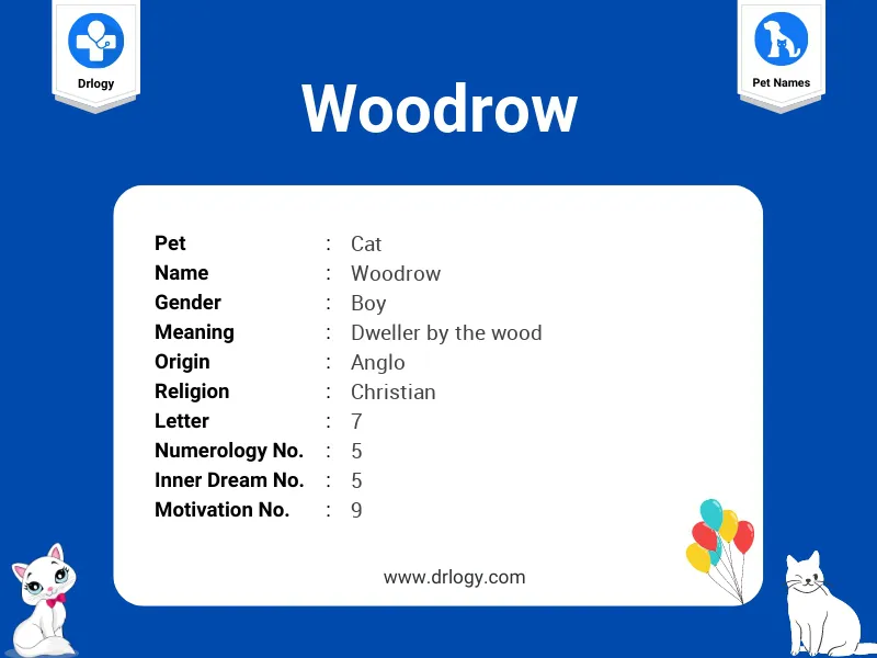 Woodrow Name Meaning