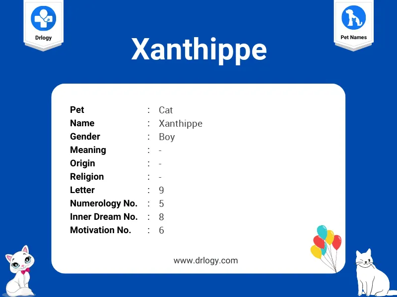 Xanthippe Name Meaning