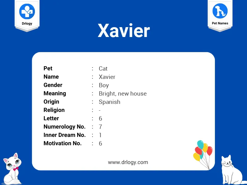 Xavier Name Meaning
