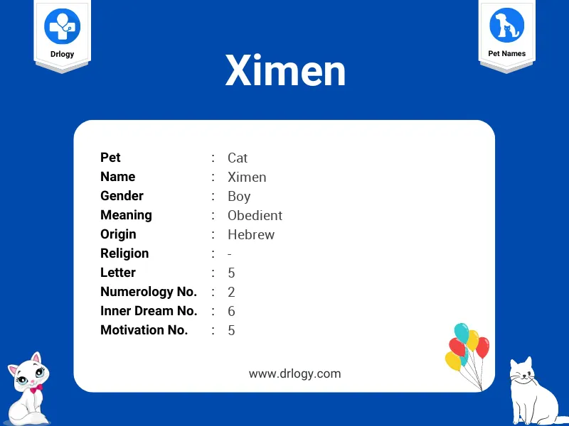 Ximen Name Meaning