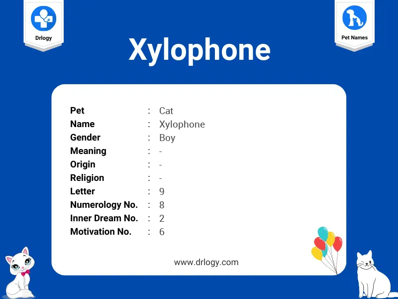 Xylophone Name Meaning