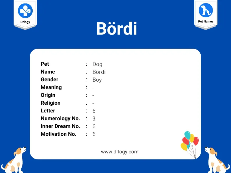 BöRdi Name Meaning