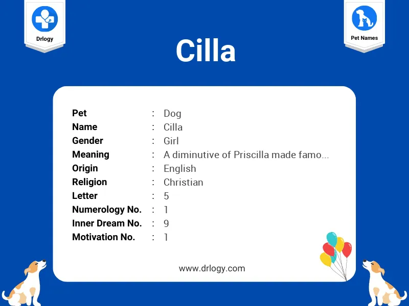 Cilla Name Meaning