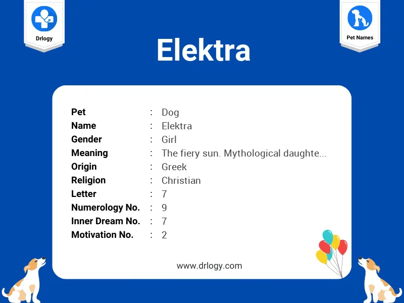 Elektra Name Meaning