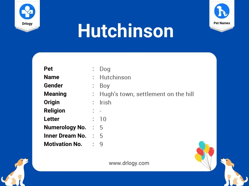 Hutchinson Name Meaning