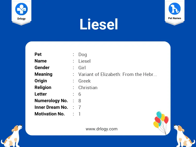 Liesel Name Meaning