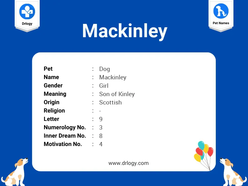 Mackinley Name Meaning
