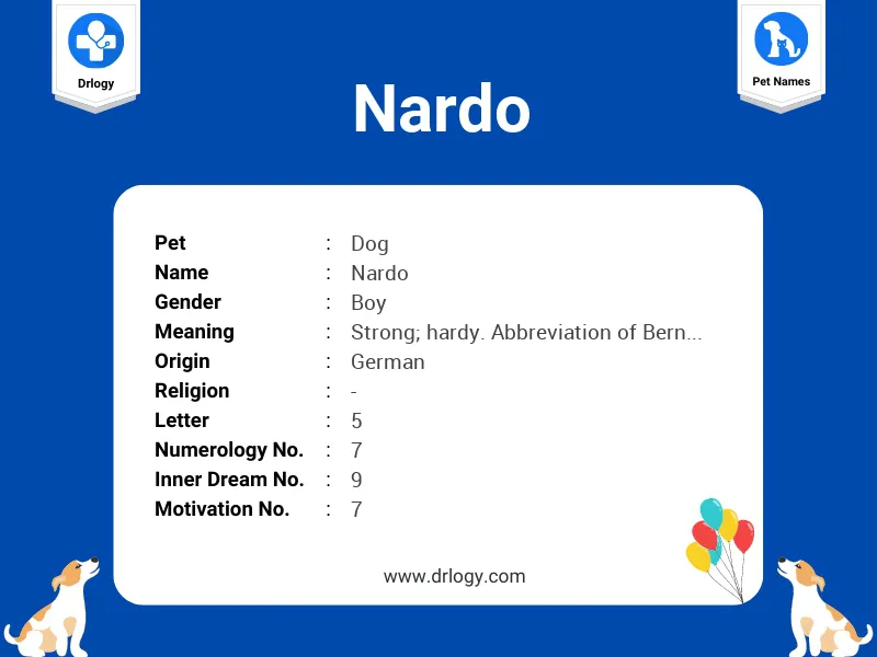 Nardo Name Meaning