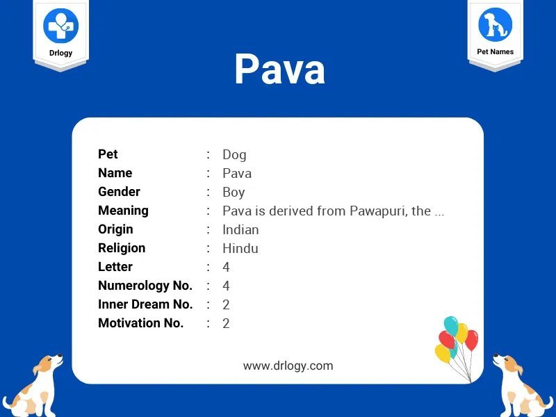 Pava Name Meaning