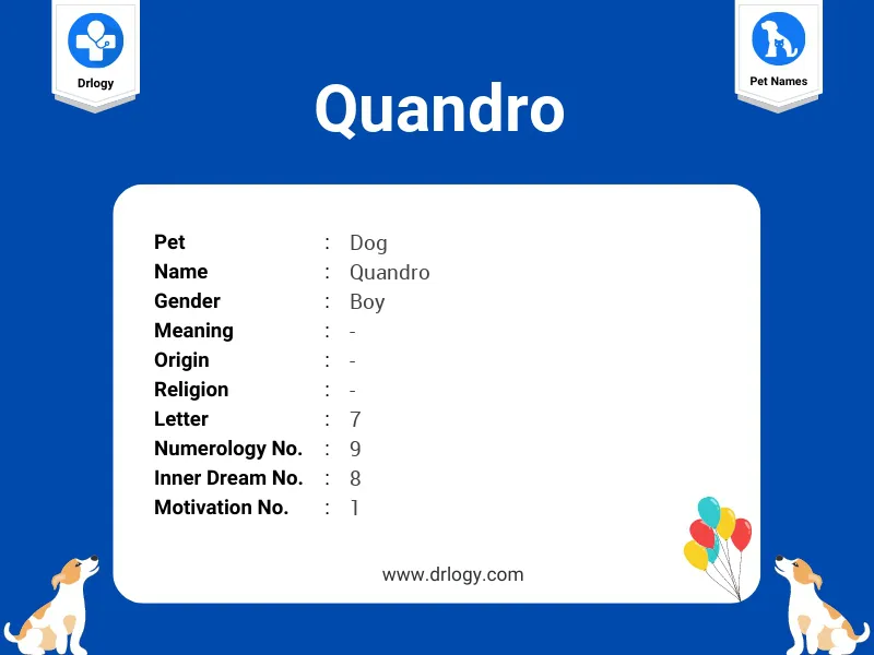 Quandro Name Meaning