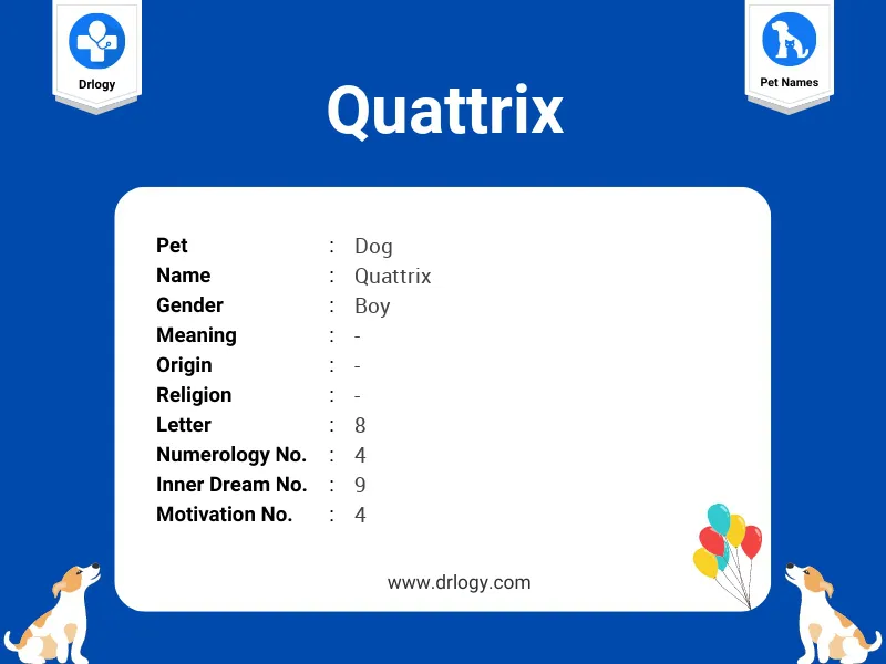 Quattrix Name Meaning