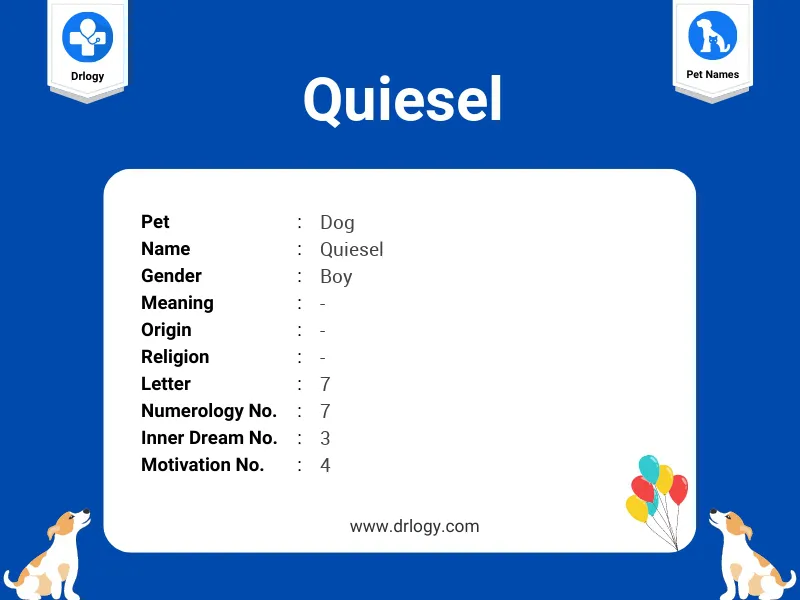 Quiesel Name Meaning