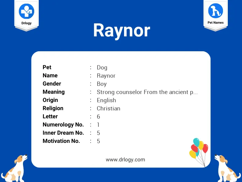 Raynor Name Meaning
