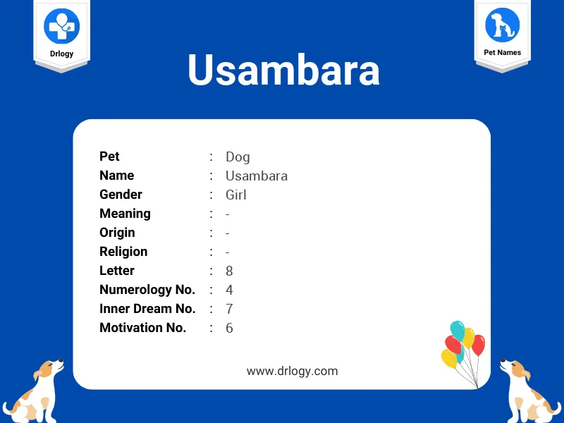 Usambara Name Meaning