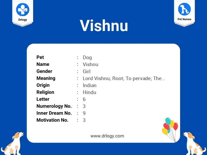 Vishnu Name Meaning