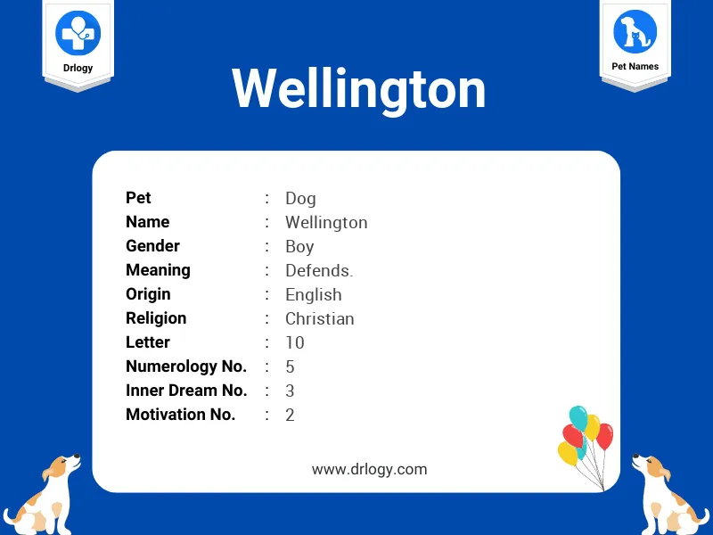 Wellington Name Meaning
