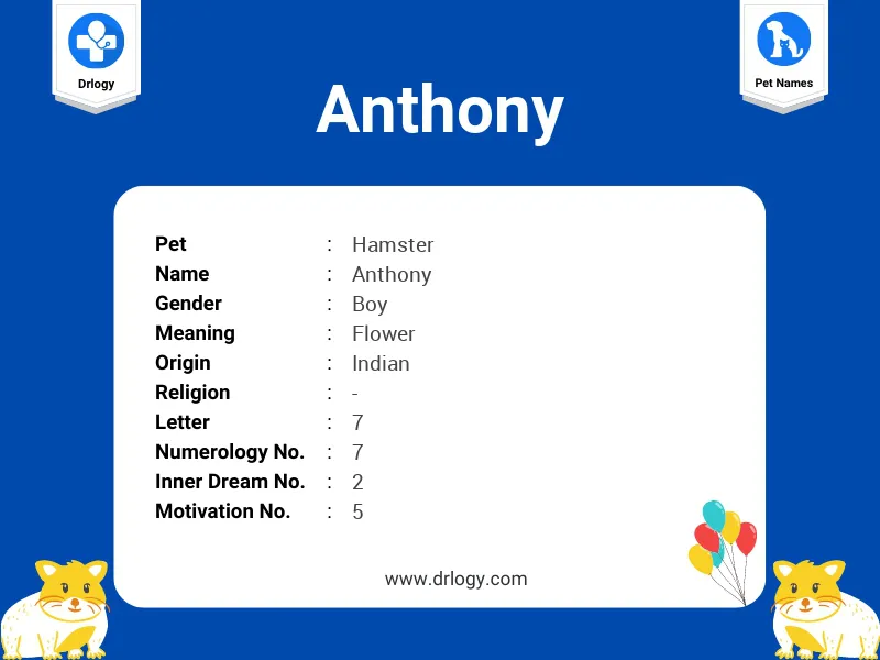 Anthony Name Meaning