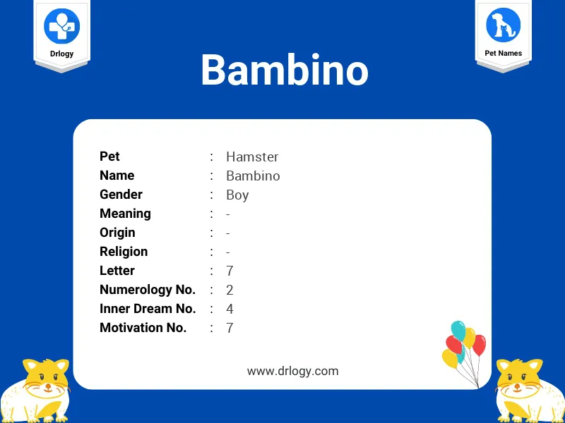 Bambino Name Meaning
