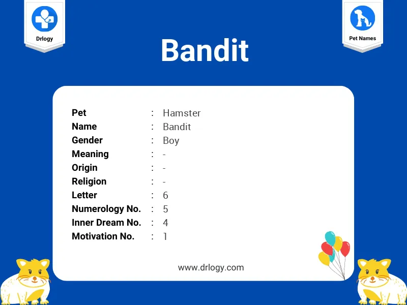 Bandit Name Meaning