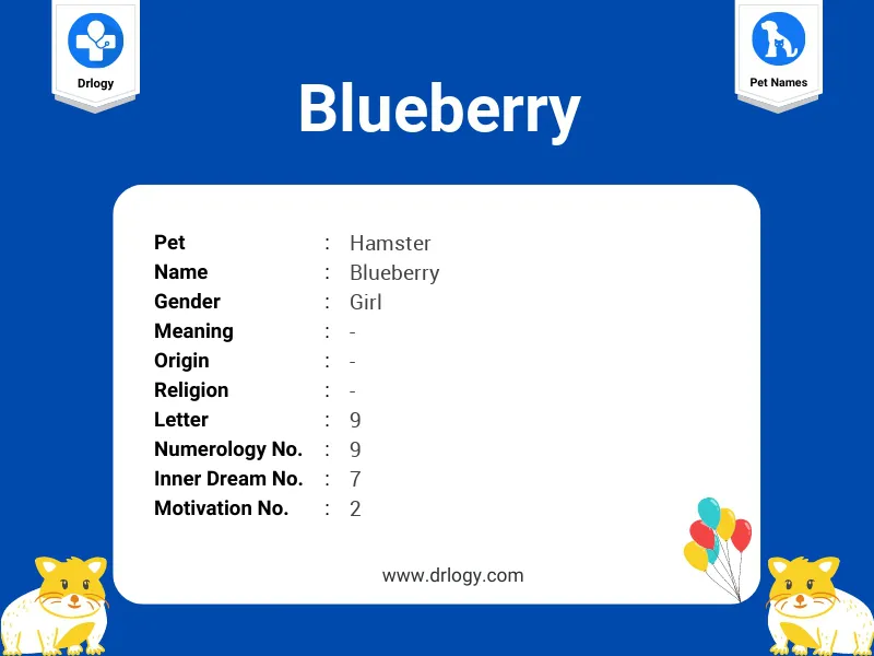 Blueberry Name Meaning