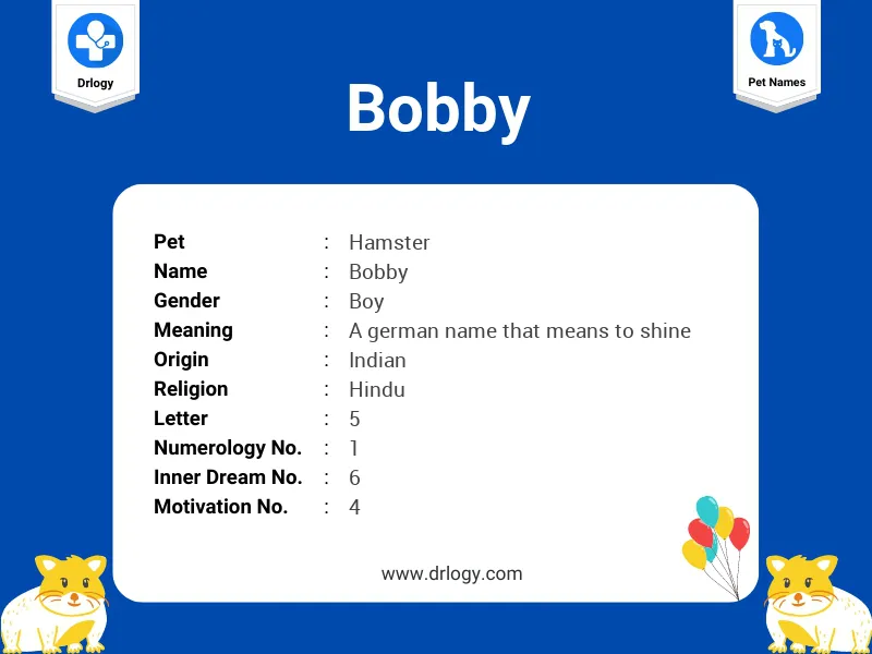 Bobby Name Meaning