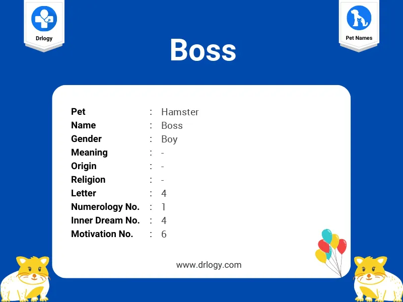 Boss Name Meaning