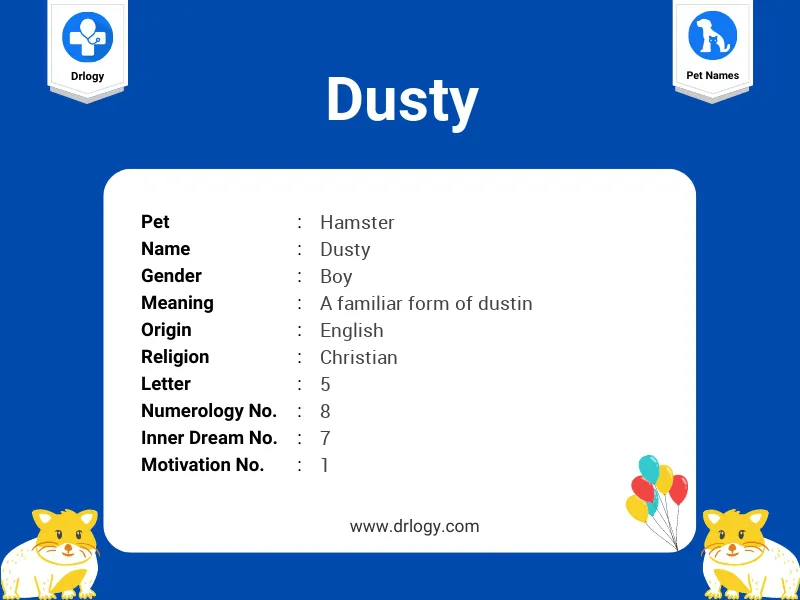 Dusty Name Meaning