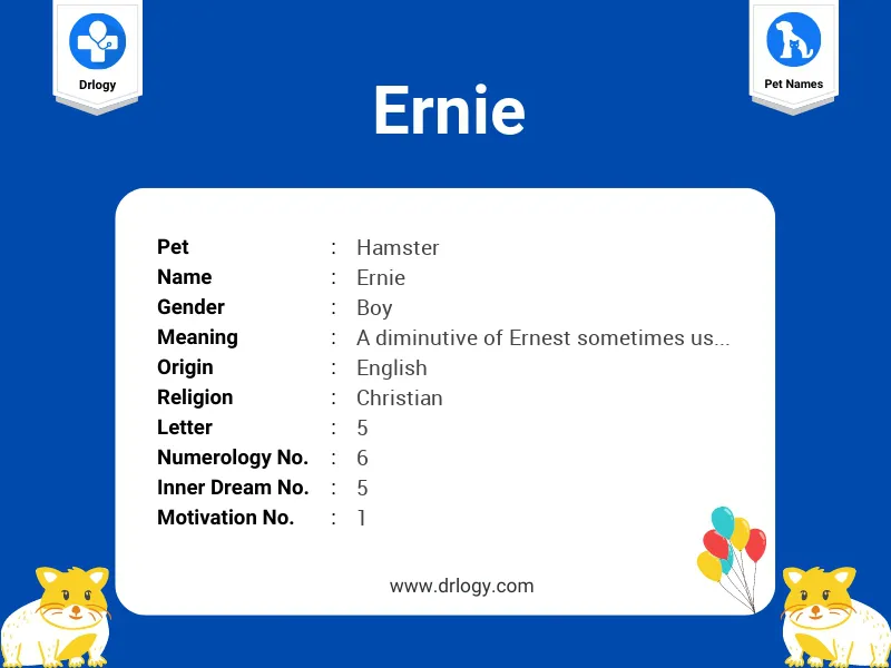 Ernie Name Meaning