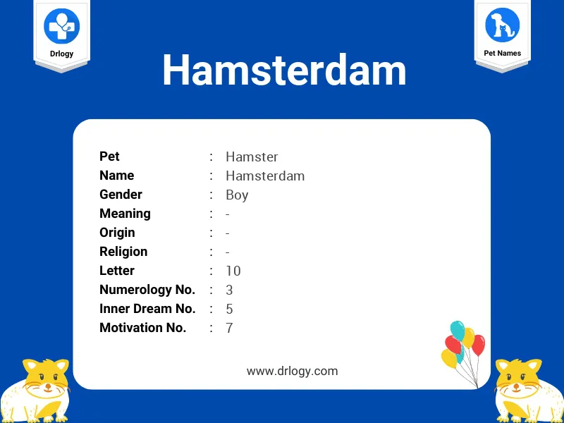 Hamsterdam Name Meaning