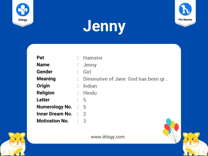 Jenny Name Meaning