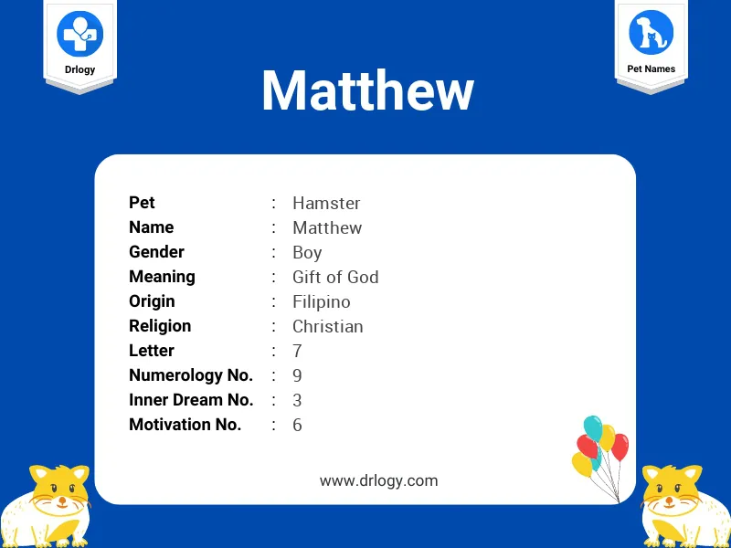 Matthew Name Meaning