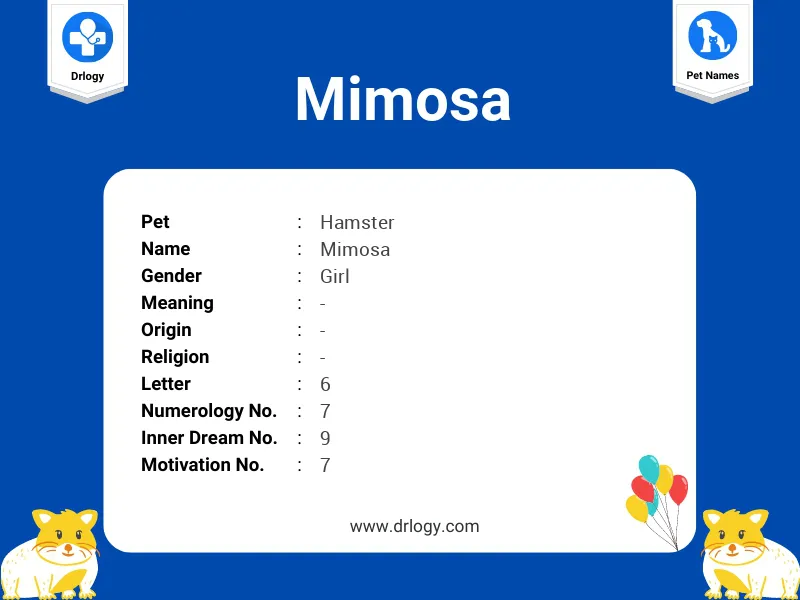 Mimosa Name Meaning