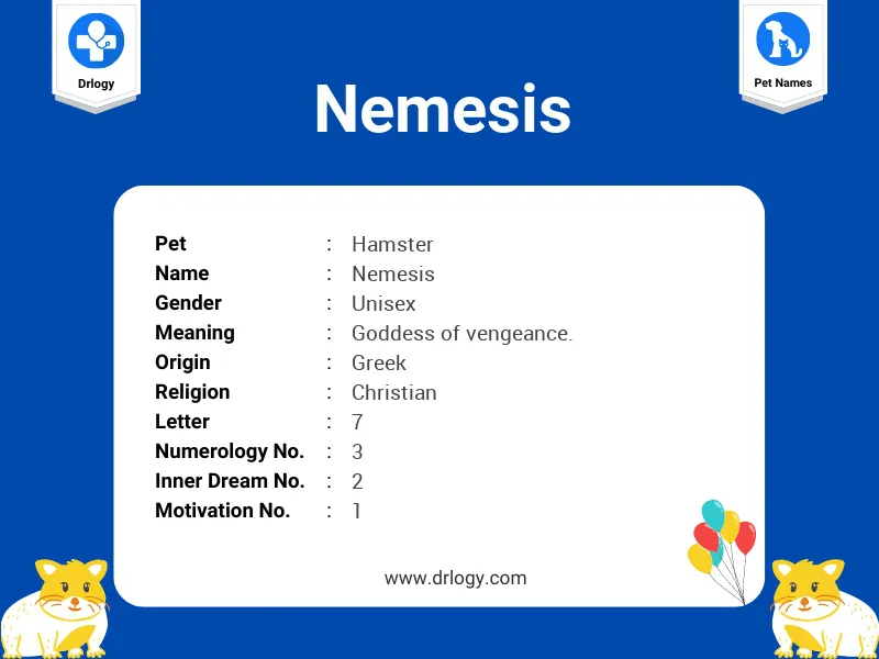 Nemesis Name Meaning