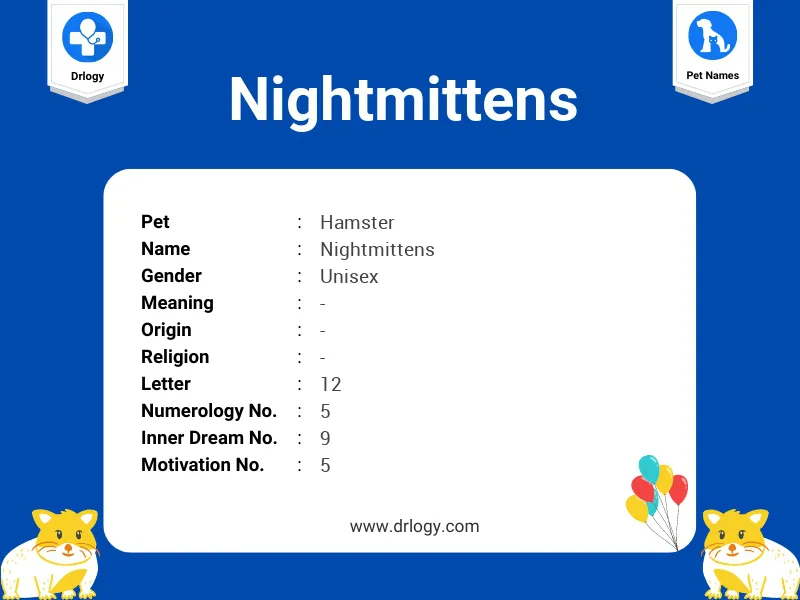 Nightmittens Name Meaning