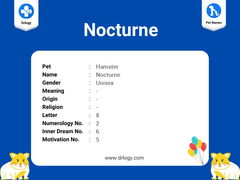 Nocturne Name Meaning