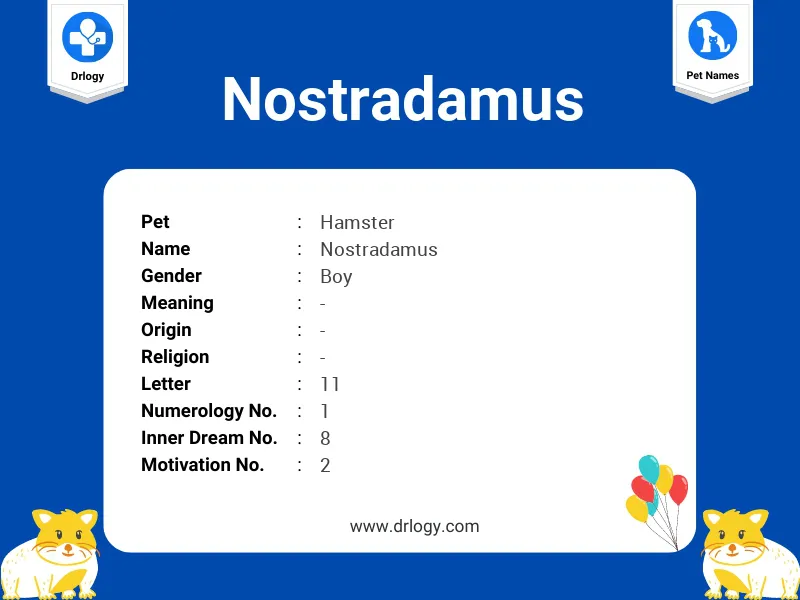 Nostradamus Name Meaning