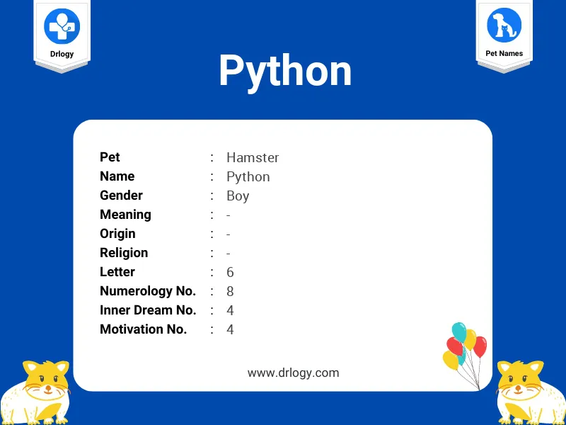 Python Name Meaning