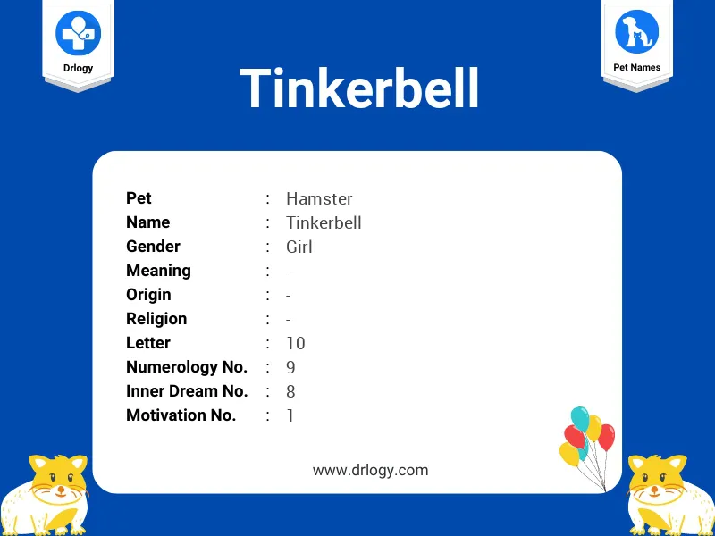 Tinkerbell Name Meaning