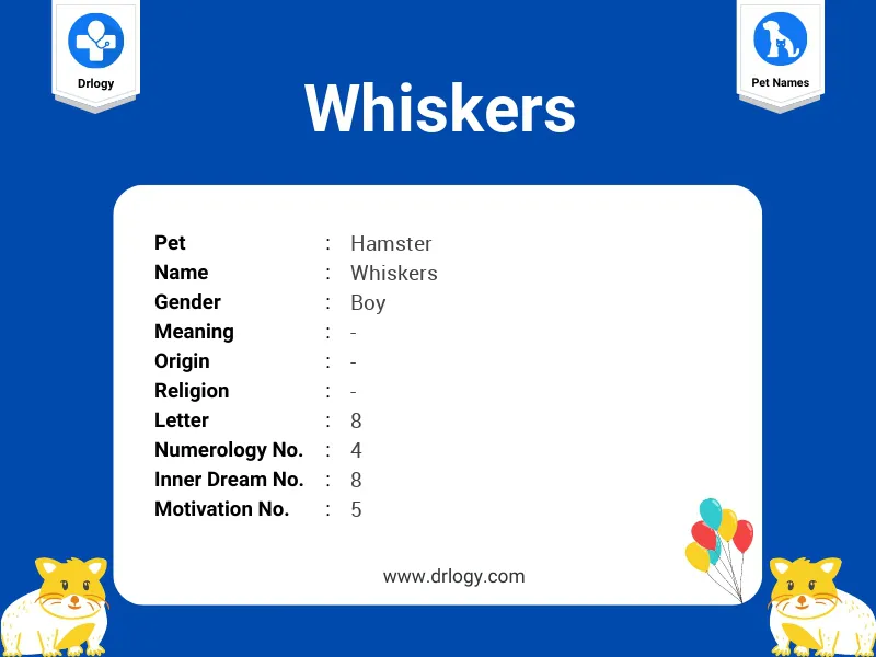 Whiskers Name Meaning